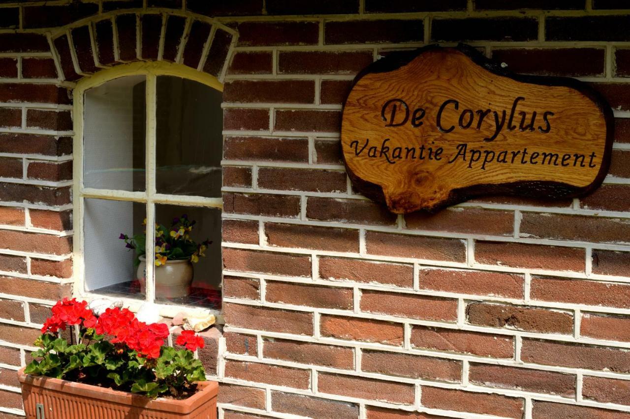 De Corylus Vakantie Appartement Oosterhesselen Екстериор снимка